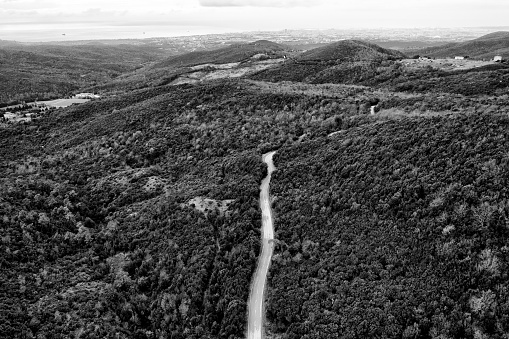 Black and white aerial view of country road, Tuscany, Italy