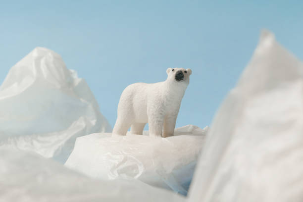 istock White polar bear on plastic bag on blue background, plastic pollution and climate change concept 1203136095