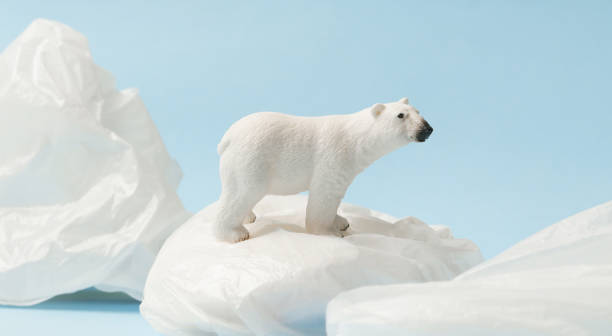istock White polar bear on plastic bag on blue background, plastic pollution and climate change concept 1203136112