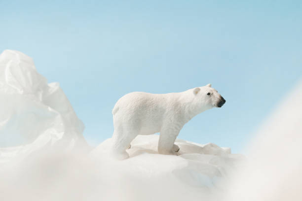 istock White polar bear on plastic bag on blue background, plastic pollution and climate change concept 1203136148