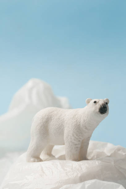istock White polar bear on plastic bag on blue background, plastic pollution and climate change concept 1203136153