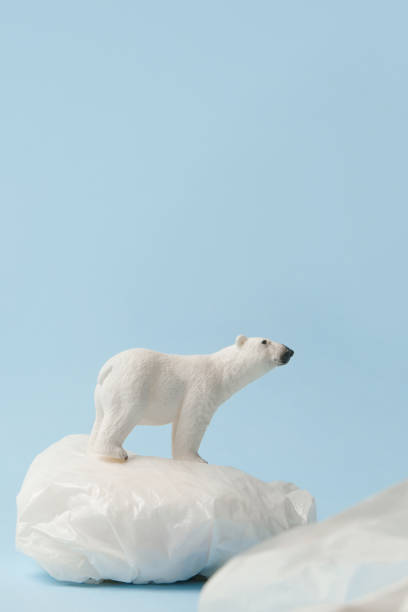 istock White polar bear on plastic bag on blue background, plastic pollution and climate change concept 1203136155