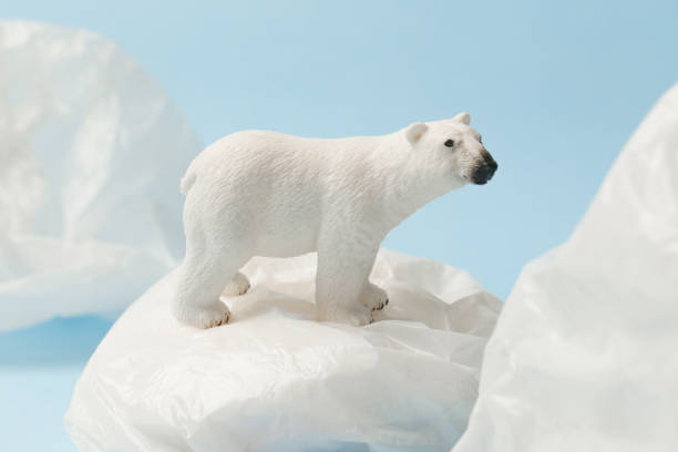 istock White polar bear on plastic bag on blue background, plastic pollution and climate change concept 1203136191