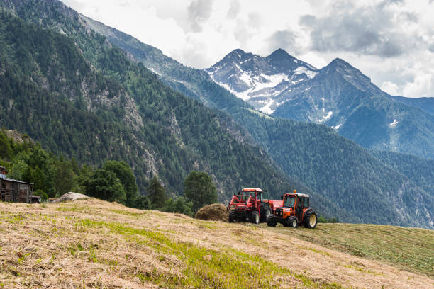 istock Hay harvesting in the mountains (Aosta Valley, Italy) 1203140068