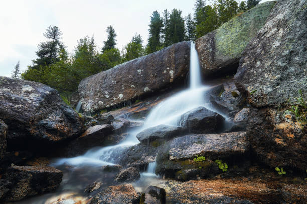 istock Fabulous mountain streams, lush greenery and flowers around. Thawed spring water from the mountains. Magical views of high mountains, Alpine meadows 1203141357