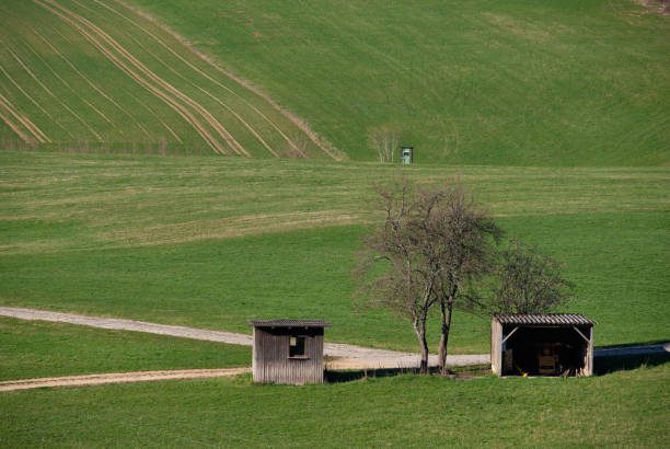 Spring landscape with green meadows, fields a tree, a gravel road and a hut in Franconia near Tauchersreuth in March 2019