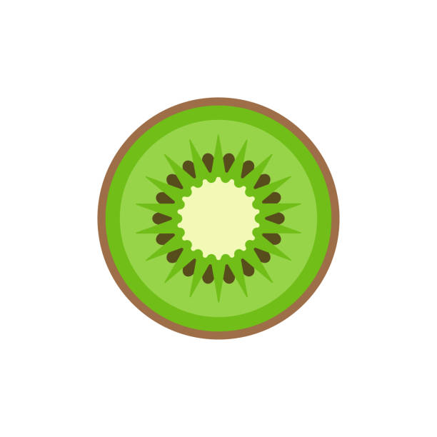 ilustrações, clipart, desenhos animados e ícones de kiwi fresco em fundo branco. ilustração vetorial. eps 10 - fruta kiwi