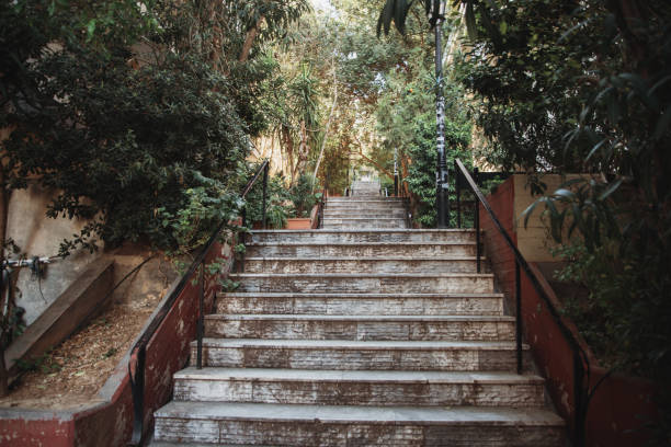 A staircase surrounded of plants in Kolonaki, Athens, Greece