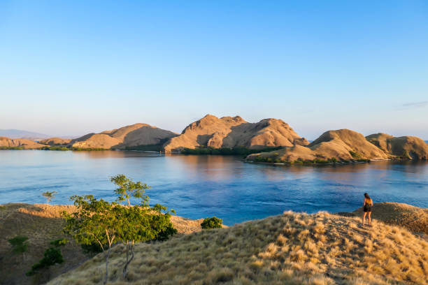 komodo - una ragazza in cima a un'isola che si gode l'alba - flores man foto e immagini stock