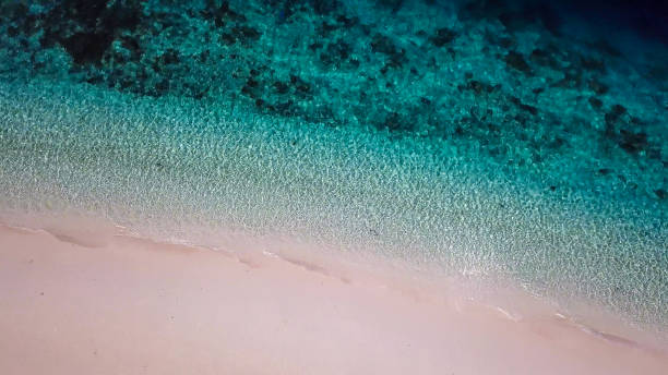 istock Maumere - A drone shot of an idyllic beach 1203151056