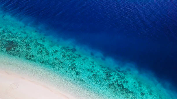 istock Maumere - A drone shot of an idyllic beach 1203151182