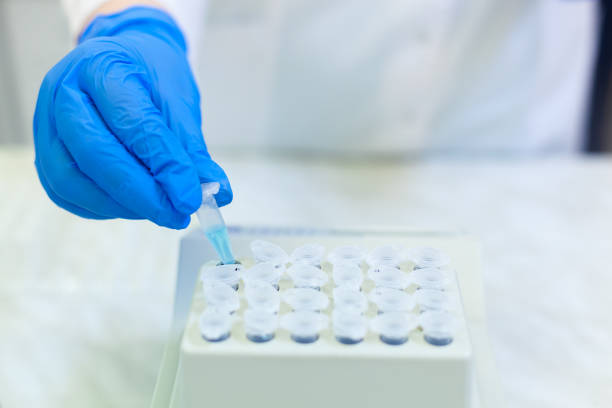 istock Laboratory worker puts samples into a tray making analysis for immunity viruses in a medical laboratory 1203153113