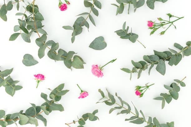 istock Floral pattern with eucalyptus branches and roses flowers on white background. Flat lay 1203155529