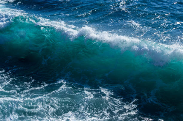 istock Mediterranean island with several pine trees growing on top of it while the rough sea hits the island and creates stunning waves and white foam. 1203158369