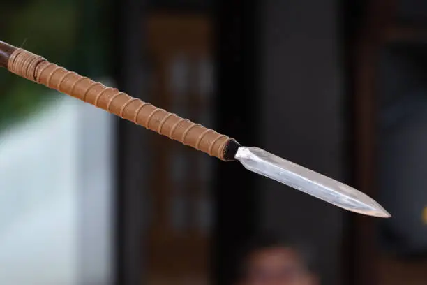 Japanese traditional spear,called Yari.