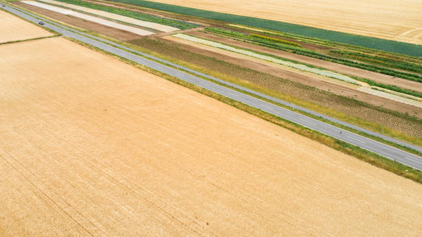 istock Aerial view of a road through agricultural fields 1203162265