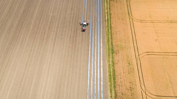 istock Agricultural fields and plantation - aerial view 1203163253