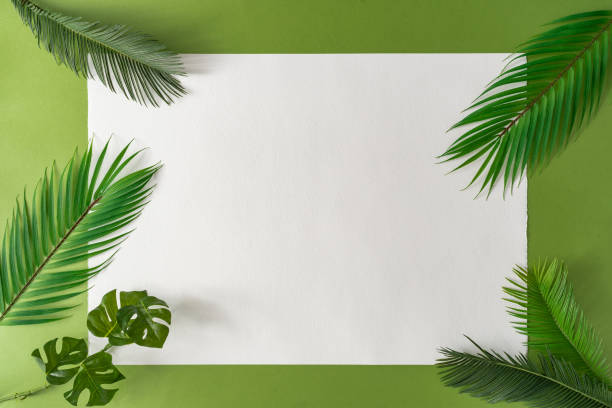 istock Tropical bright colorful background with exotic tropical palm leaves. 1203166218
