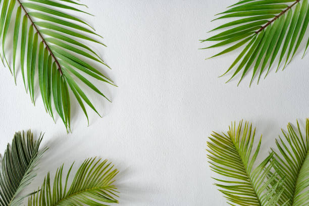 istock Tropical bright colorful background with exotic tropical palm leaves. 1203166697