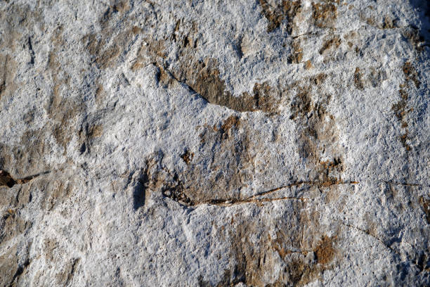 istock Cross section of rock 1203166701