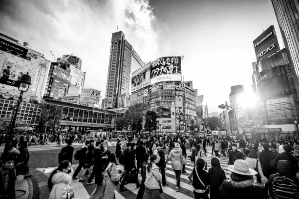 panoramic view of Shibuya Crossing at sunset Tokyo Japan in Monochrome monochrome photo with red selective color view of Shibuya Crossing at sunset in Tokyo low angle street japan stock pictures, royalty-free photos & images