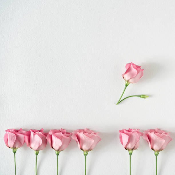 istock Creative composition of pink rose flowers and leaves. 1203167581
