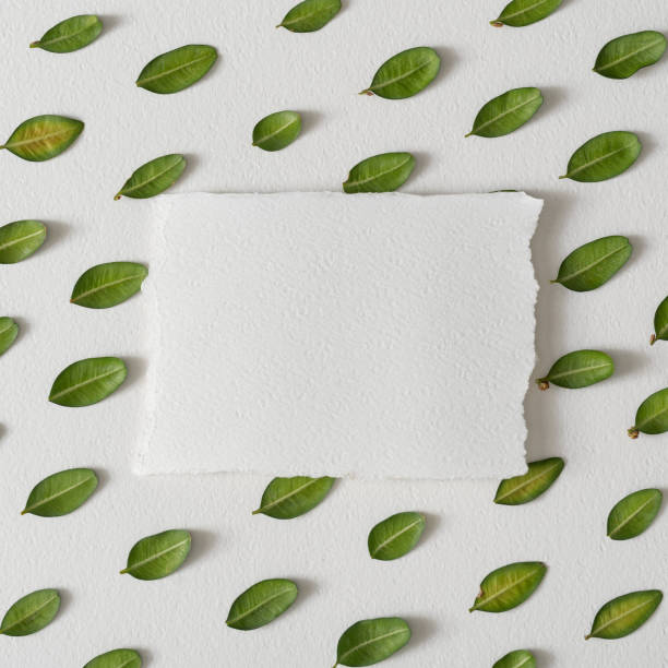 istock Creative layout with green leaves and white paper card note. 1203167792
