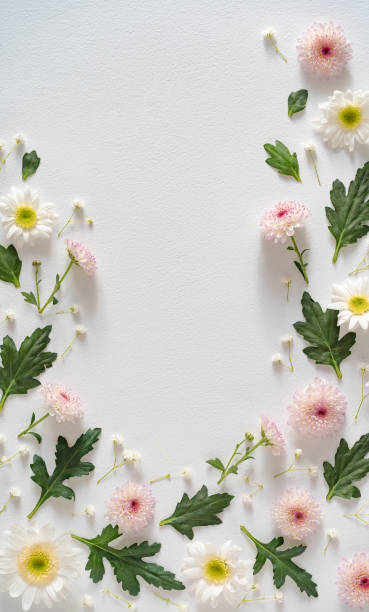 istock Rose pastel pink flowers and leaves. 1203167839