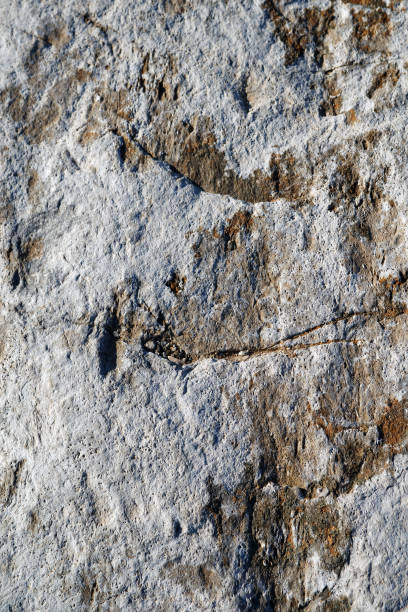 istock Cross section of rock 1203167849
