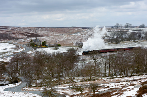 A vintage steam train issuing smoke makes its way through the North York Moors flanked by trees in a snow covered landscape in winter near Goathland, Yorkshire, UK.