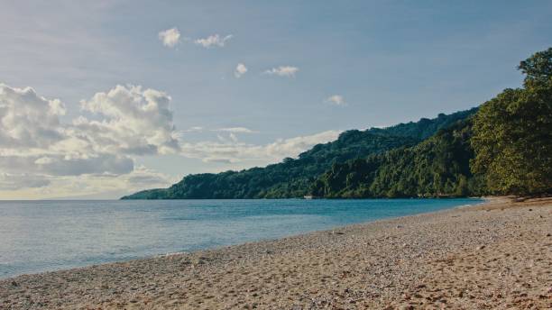 istock southern pacific tropical island with clear sea and dense lush rainforest 1203169045