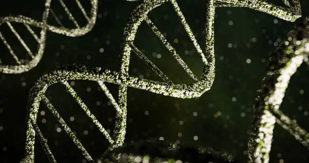 Photo of 3d rendering - Some strings of green plant DNA on a dark green background