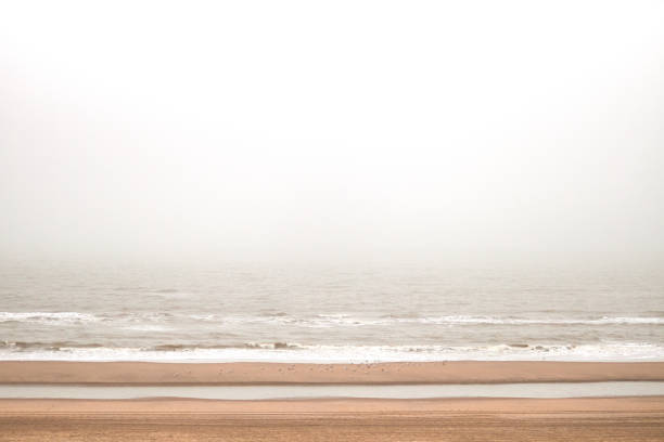 The North Sea overcast with fog and seagulls on a sandbar in the foreground