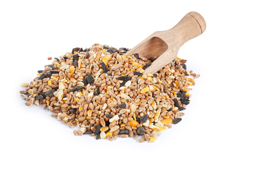 Studio shot of assorted wild bird seed with a wooden scoop cut out against a white background
