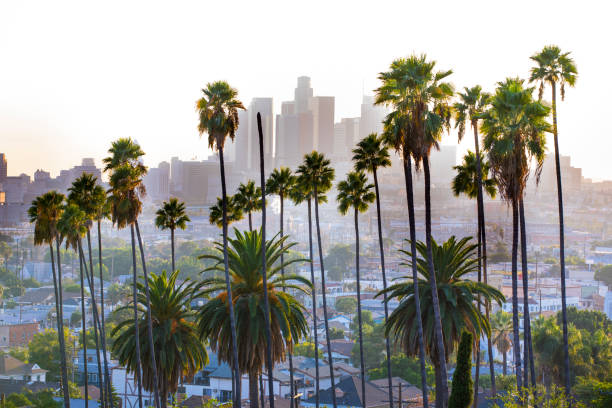 istock Los Angeles city skyline at sunset 1203169680
