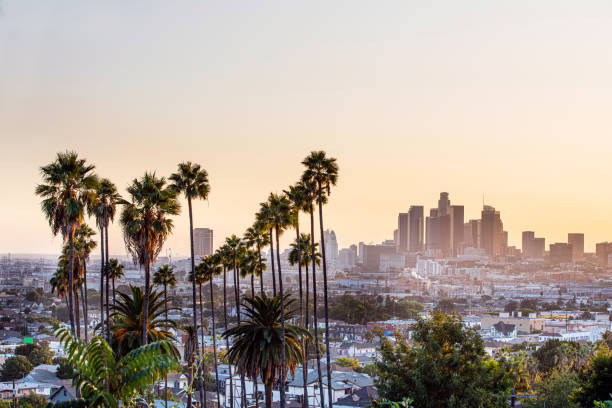 istock Los Angeles city skyline at sunset 1203169717
