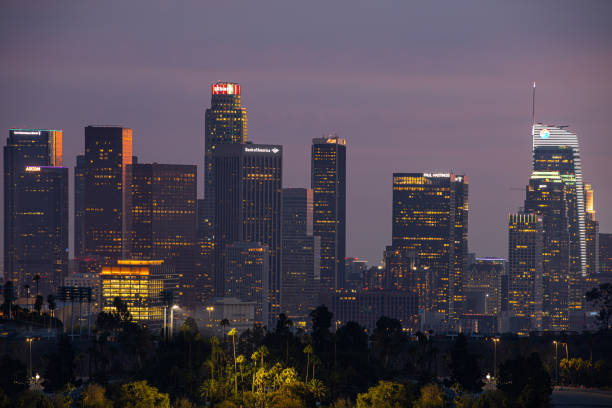 istock Los Angeles city skyline illuminated at night 1203169723