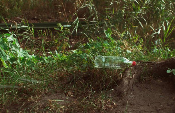 istock plastic bottle in the forest near the pond. Environmental pollution. Environmental issue and disaster. Go Green, Zero Waste, Save the Planet, Earth Day, No Plastic, Recycling Concept 1203172423