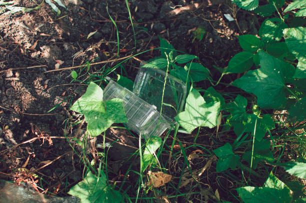 istock Plastic containers and trash in the forest. Environmental pollution. Environmental issue and disaster. Go Green, Zero Waste, Save the Planet, Earth Day, No Plastic, Recycling Concept 1203172558