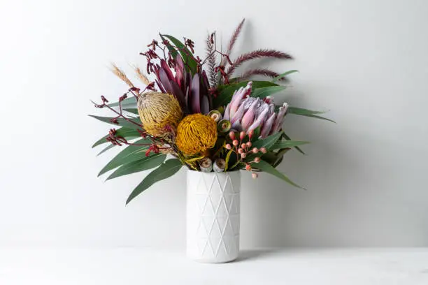 Beautiful floral arrangement of flowers in a vase, including protea, banksia, kangaroo paw eucalyptus leaves and gumnuts on a white table with a white background.