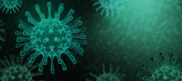 istock 3D Rendering dark virus,  The infection in host organism viral disease outbreak, Select focus shallow depth of field 1203176215
