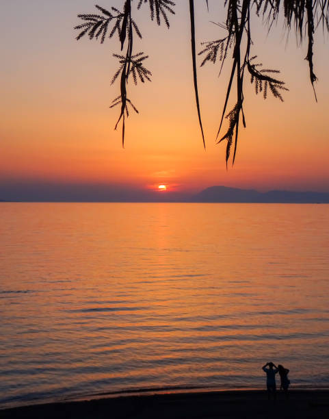 istock Beach sunset. Romantic beach sunset. Sunset on the beach. 1203176458