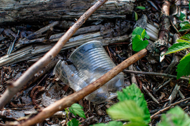 istock Plastic cup and trash in the forest. Environmental pollution. Environmental issue and disaster. Go Green, Zero Waste, Save the Planet, Earth Day, No Plastic, Recycling Concept 1203176645