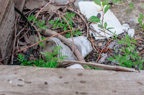 istock Plastic cup and trash in the forest. Environmental pollution. Environmental issue and disaster. Go Green, Zero Waste, Save the Planet, Earth Day, No Plastic, Recycling Concept 1203176716