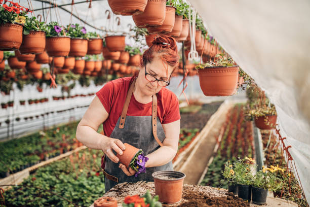 istock Mature redhead woman working alone on flower farm 1203178211