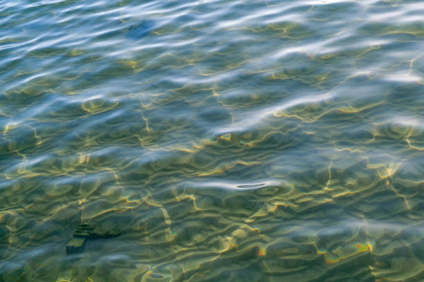 istock Beautiful sun rays are reflected from the surface of the sea 1203178715