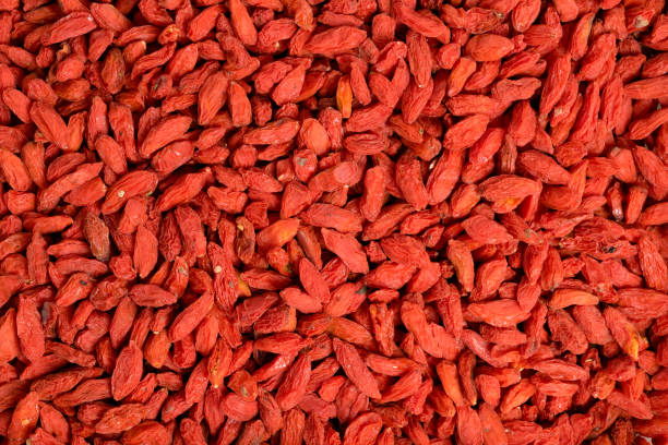 goji seco, goji berry ou vista superior de amora - wolfberry - fotografias e filmes do acervo