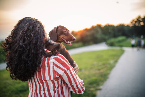 istock Beautiful young woman holding her dachshund 1203179830