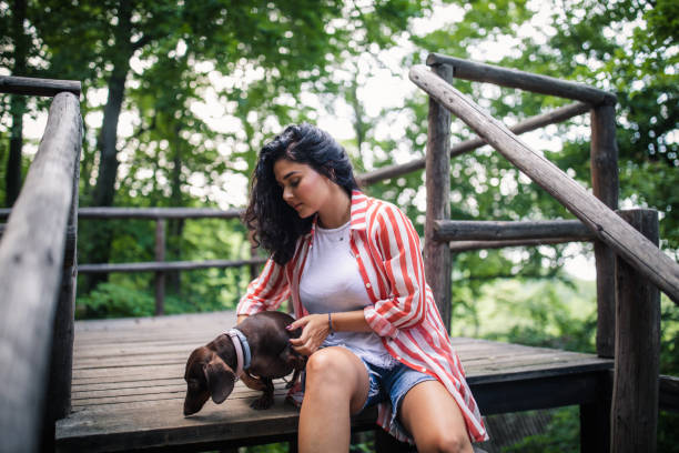 istock One cute woman playing with her dog in the forest 1203182058