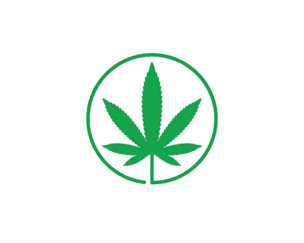 Vector illustration of cannabis leaf vector icon illustration design